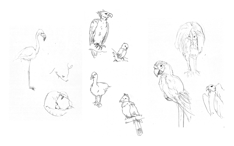 Animal Sketches 1 - San Diego
