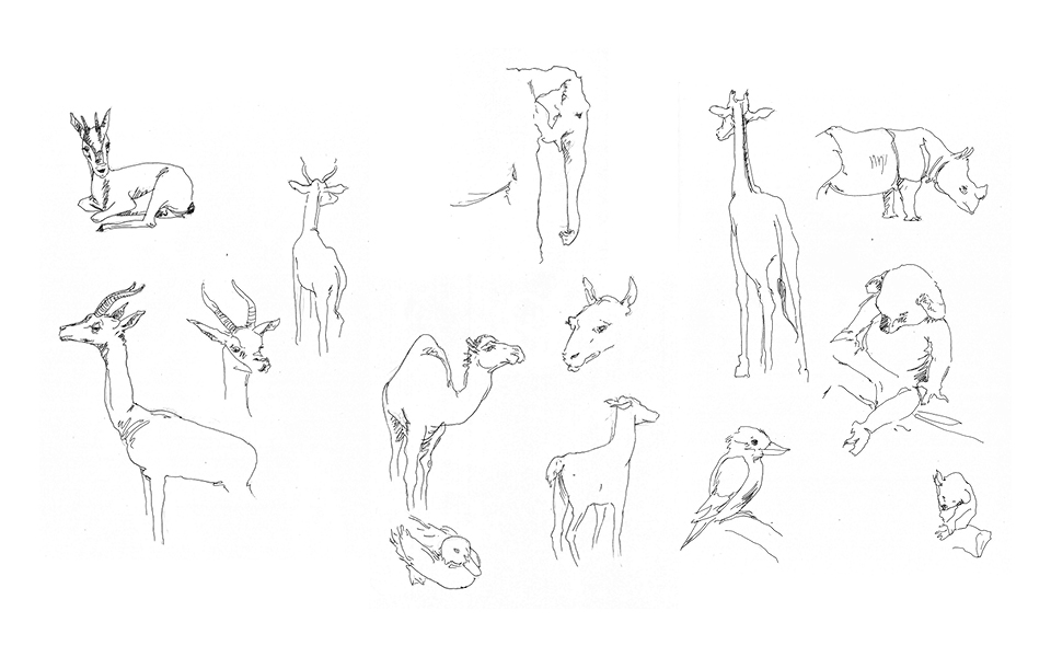 Animal Sketches 3 - San Diego